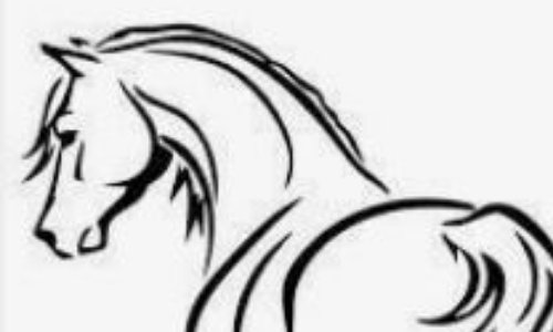 Sports Equestres: charte 