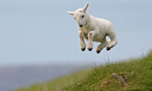 Petition : Test Christopher