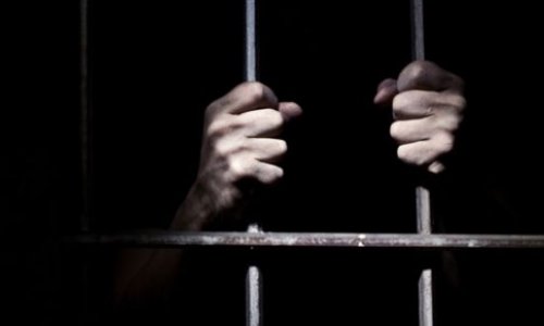 Pour que la France loue une ou des prisons aux Pays Bas pour les criminel(le)s sexuels ayant commis des incestes, des viols sur mineurs et infanticides