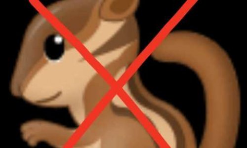 Pour un écureuil plus joli