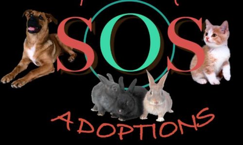 Je soutiens " SOS ANIMAUX ADOPTIONS "