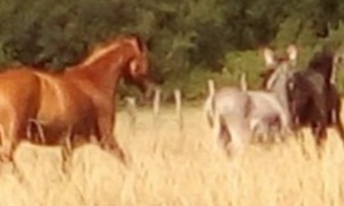 soutenir l association