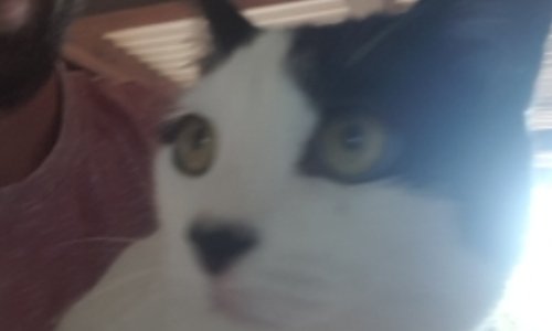 Pour que Sun reste à la caz