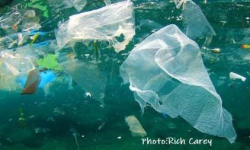 Bannir les sacs de plastique à usage unique