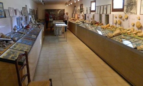 Sauvez le musée paléontologique Christian Devalque