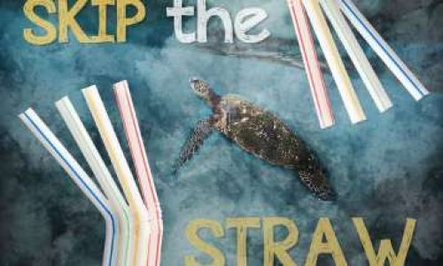 Pour que PROVAMEL supprime les pailles de ses briques de lait végétal