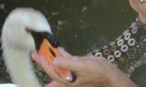 Protégeons l'environnement