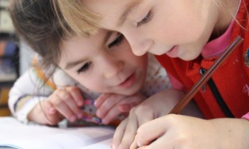 AVS AESH en péril et de plus en plus précaire