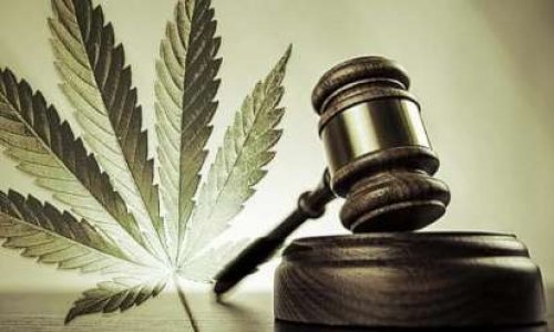 Légalisation controlée du Cannabis