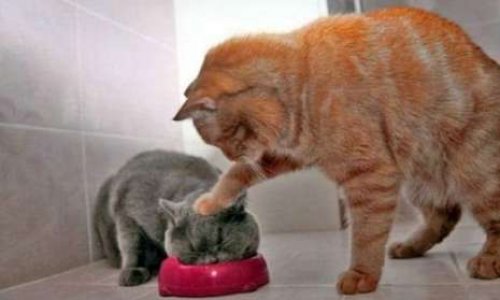 Pour la revalorisation des salaires des enseignants.