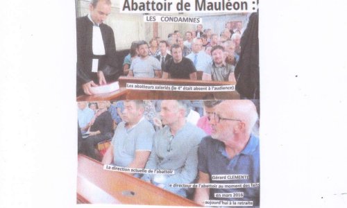 ABATTOIR de MAULEON et autres - NOUS SOMMES TOUS COUPABLES   !!!