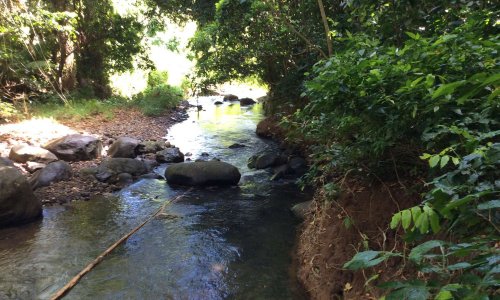 Soutenir le projet de valorisation de la for&ecirc;t de Montg&eacute;rald