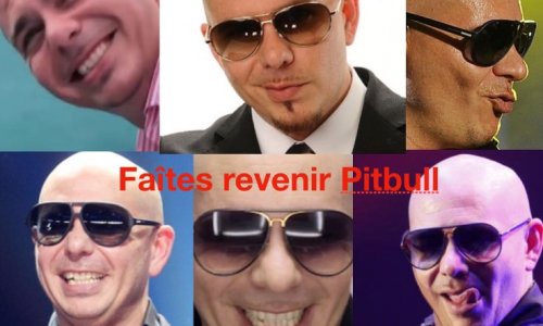 Un Concert pour le RETOUR de PITBULL(Mr.WorldWide)  au Stade de France