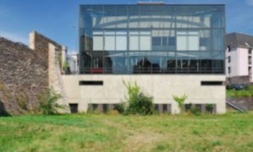 DEMANDE DE DEMENAGEMENT D'UN ESPACE POUR CHIENS