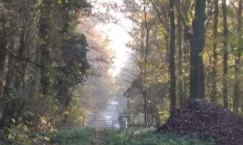 Les chemins communaux sont le bien de tous !