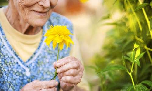 Alzheimer : engagez-vous pour des recherches qui resteront dans les mémoires !