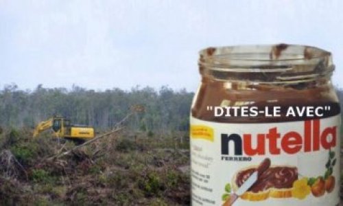 Demandons à Ferrero de remplacer l’huile de palme dans le Nutella par une autre huile plus écologique !