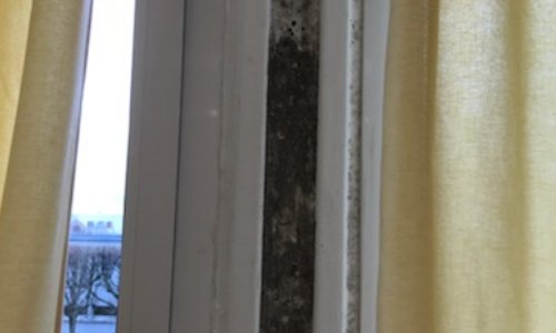 Pour une école belle, saine et apprendre sereinement...