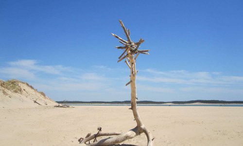 Pour le droit au suicide assisté pour une fin de vie dans la DIGNITÉ en France