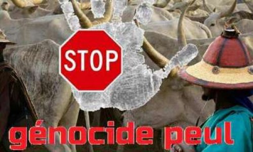 Stop Génocide Peuls au Burkina