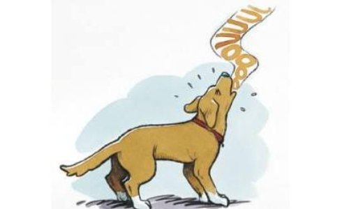 Stop aux aboiements incessants du chien du passage Dubois