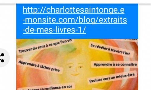 Contre les blocages de Charlotte Saintonge par Facebook