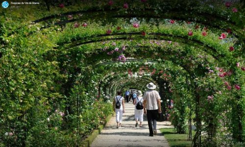 maintaining an exceptional garden