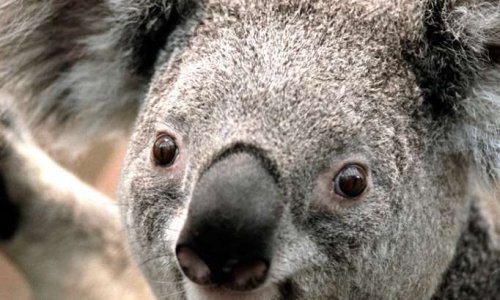 Pour lever l'interdiction port&eacute;e sur Krunker.io &agrave; L'IUT