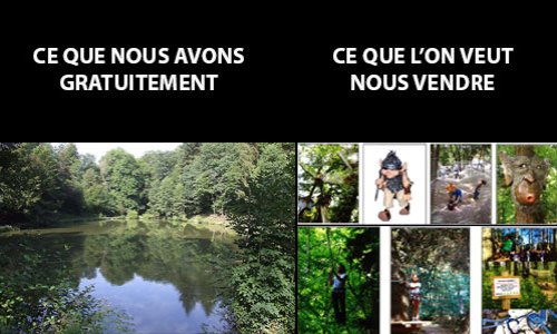 D&eacute;fendre le bois du Val Saint-Lambert, d&eacute;fendre la d&eacute;mocratie et l'environnement