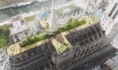 Pétition : Végétalisons le toit de Notre-Dame