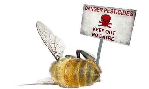 Pour l'arrêt des publicités pour le Roundup à la télévision