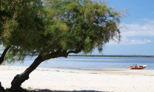 SOUTIEN A LA CONSTRUCTION D’UNE CABANE DEDIEE AUX ARTISTES SUR LA COMMUNE DE LANTON