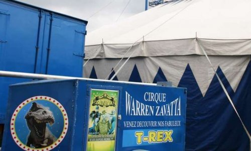 Interdire les cirques avec des animaux sauvages en Bourgogne-Franche-Comté