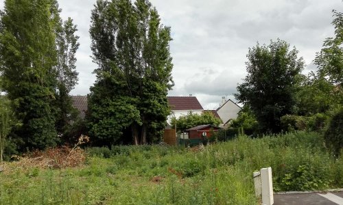 SAUVONS-LES-ARBRES A COMBS-LA-VILLE
