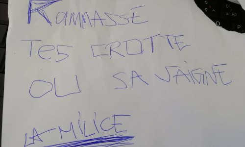 Stop à l'assassinat de nos chiens !