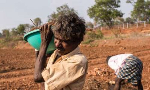 Signez pour dénoncer les conditions de travail des populations indigènes en Inde