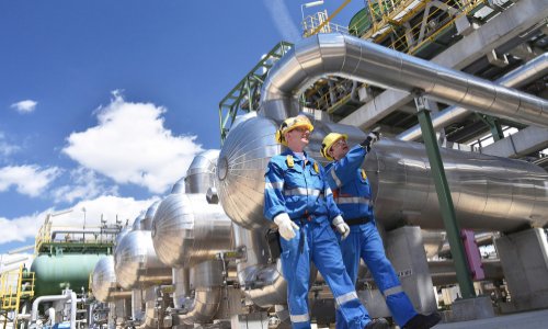 Non aux nuisances - non à Cyclamen