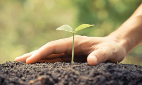 Pour une politique de sauvegarde commune de la vie sur terre