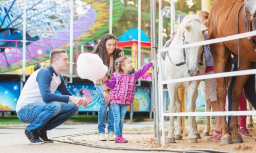 Pétition : PAS D'ANIMAUX DANS LES PARCS D'ATTRACTIONS !