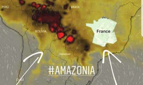 Pour que l'État Français apporte son aide en Amazonie