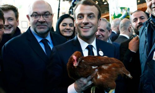 Suicide du monde paysan