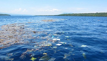 Contre la plastification des océans !