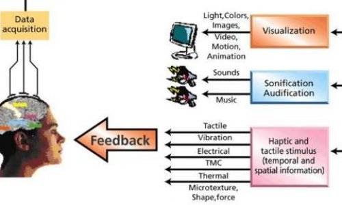 Contre le piratage bio-electromagn&eacute;tique