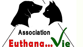 Pour la mise en place d'une charte règlementant les décisions d'euthanasies dans les refuges animaliers