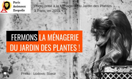 Pétition : Fermons la Ménagerie, le zoo du Jardin des Plantes de Paris