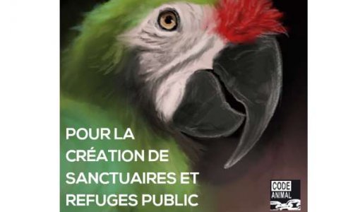 Des refuges et sanctuaires pour les animaux sauvages maintenant en France !