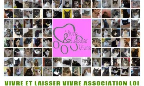 SOS Association Vivre et laisser vivre menacé de perdre sa demeure