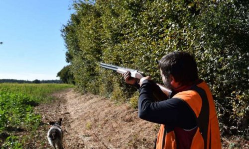 Pétition : Contre la chasse à proximité des habitations.