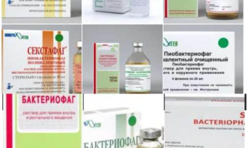 Sauver 10 000 vies par an en introduisant en France les médicaments bactériophagiques russes et géorgiens