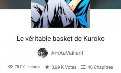 Un animé pour cette fanfiction
